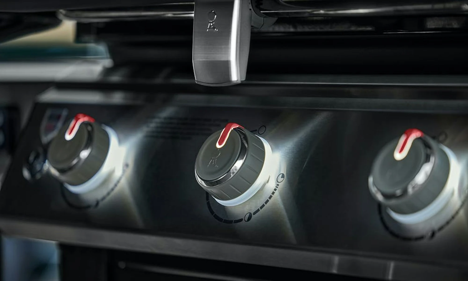 Weber Genesis II EX-315 GBS 2 Weber Genesis II EX-315 GBS – Bild 2