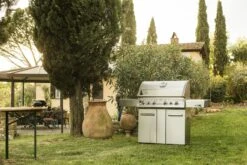 NAPOLEON LEX 605 Gasgrill Edelstahl -Weben Geschaft NAPOLEON LEX 605 Edelstahl 9