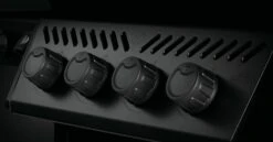 NAPOLEON Phantom Freestyle 425, Mit Edelstahl Rosten Und Tür, Mattschwarz -Weben Geschaft Phantom Freestyle F425DSIBPK PHM Detail Control Panel