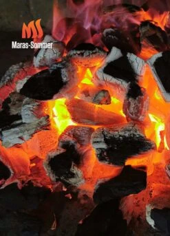 Big Green Egg Woody Holzkohle Aus Buchenholz 10 Kg -Weben Geschaft bge 0724943369085 Buchenholzkohle 2048x2048