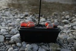 McBrikett KOKOKO EGGS 10kg -Weben Geschaft mcbrikett kokoko eggs mood 05