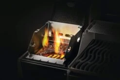 Napoleon - Windschild Für SIZZLE ZONE Für RXT Serien (71302) 13 Napoleon - Windschild Für SIZZLE ZONE Für RXT Serien (71302) -Weben Geschaft napo 71302 Windscreen Small InUse CastIron