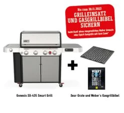 Weber Genesis SX-435 Smart Grill